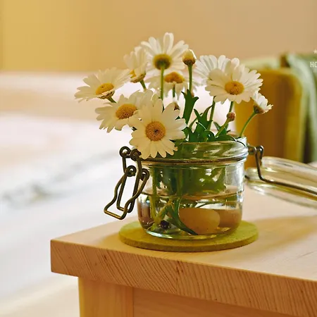 Hotel B&B 