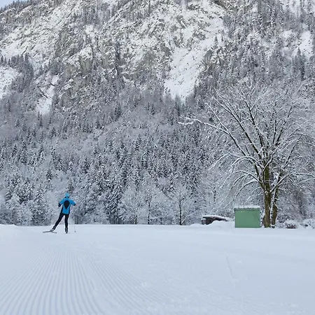 Ξενοδοχείο 