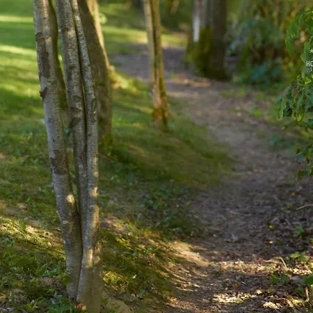 Ξενοδοχείο 